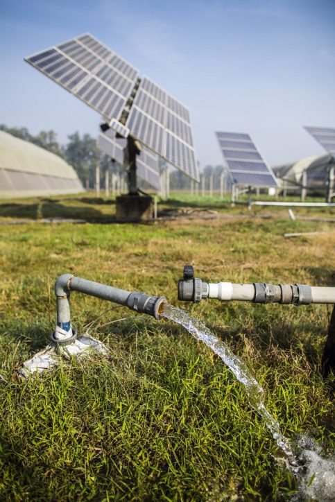 Solar powered irrigation system spraying water